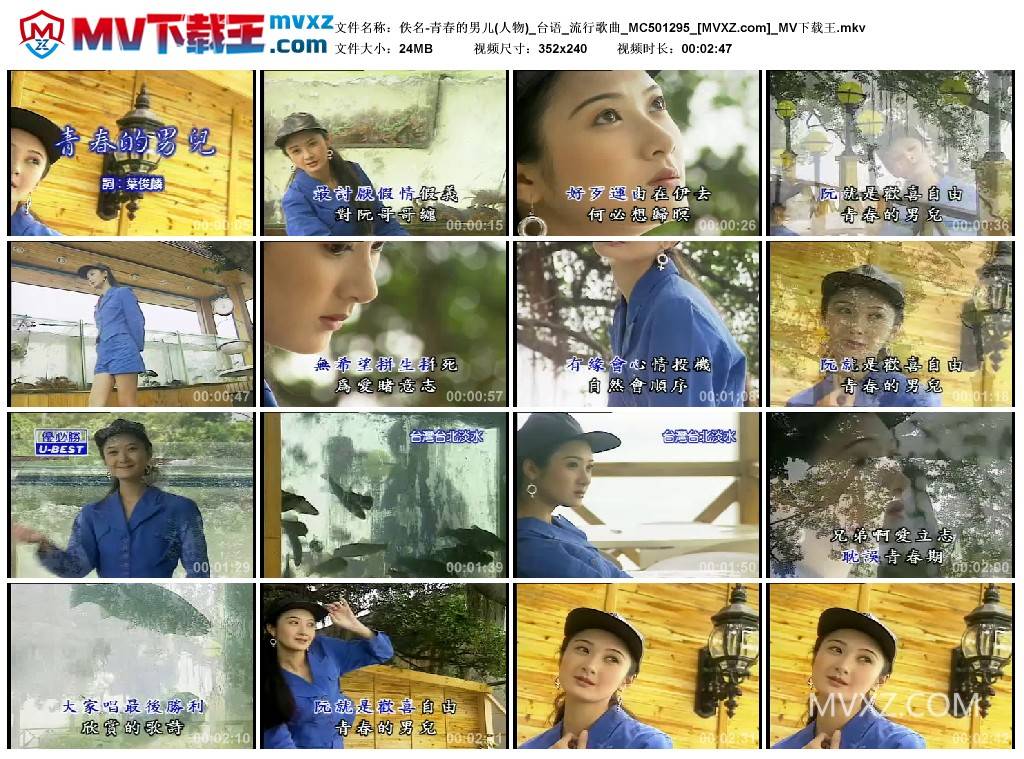 佚名-青春的男儿(人物)_台语_流行歌曲_MC501295
